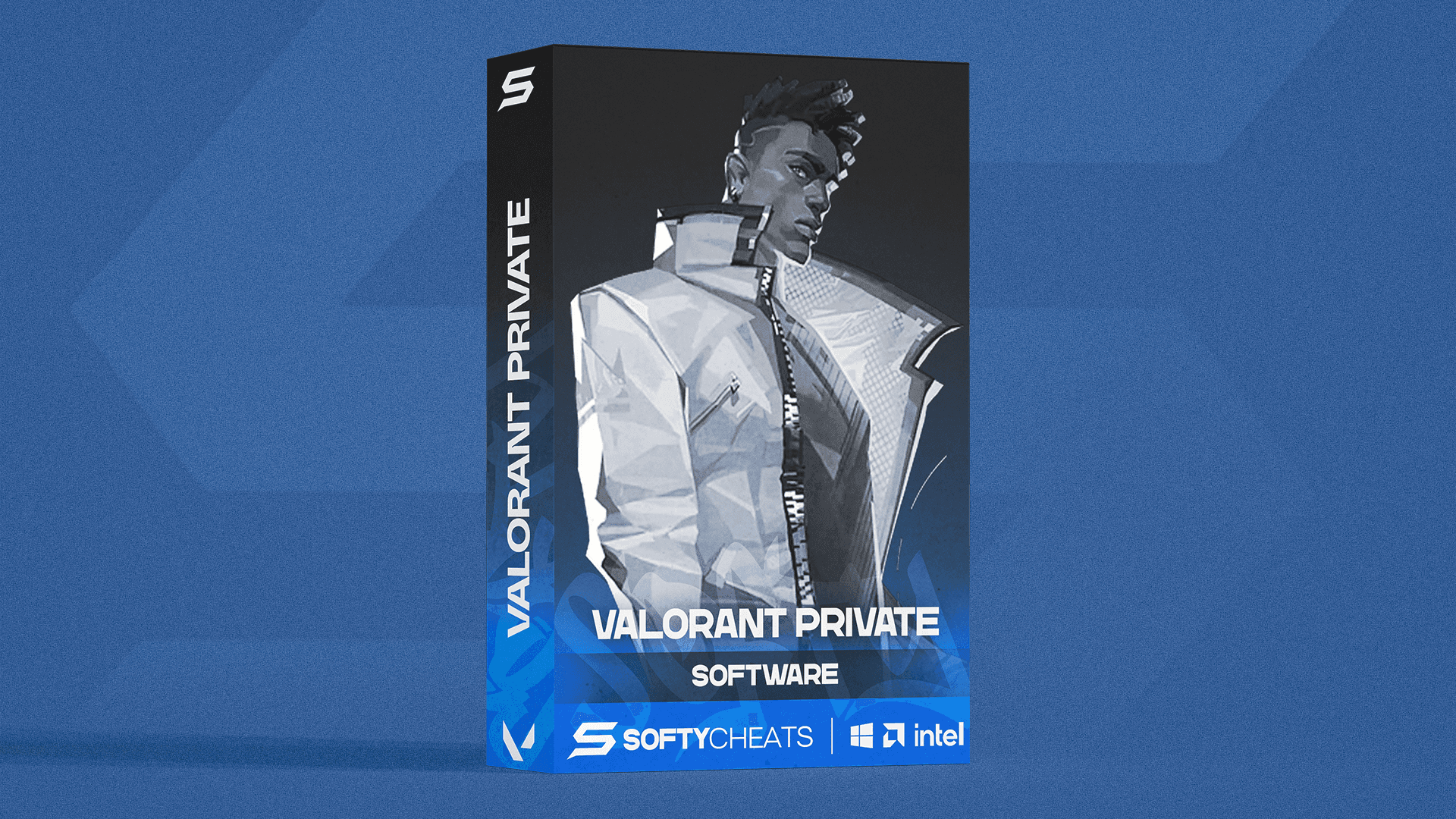 Valorant Private